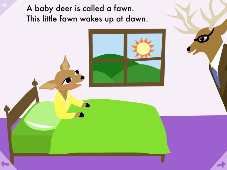 Hello, Baby Animals!