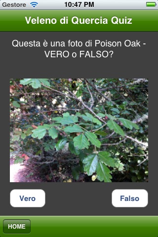 Poison Oak Quiz screenshot 4