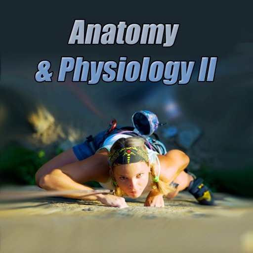 Anatomy & Physiology II by Bold Type Media LLC