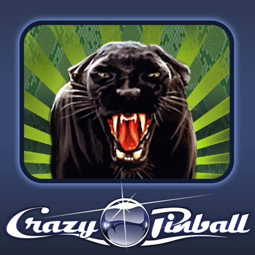 Crazy Pinball Jungle icon