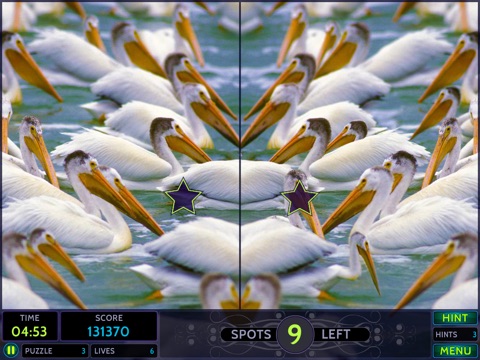 Just Spot It! Mirror Mirror HD - a Spot the Difference game screenshot 4