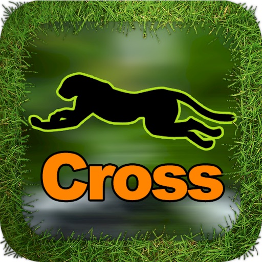 Cheetah Cross Game HD icon