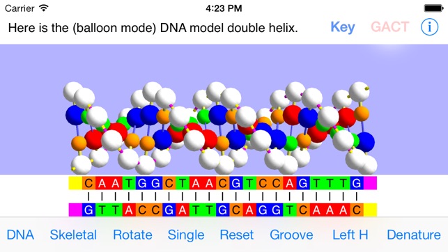 OnScreen DNA Model for iPhone