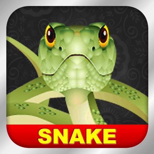 ClassicSnake for ipad icon