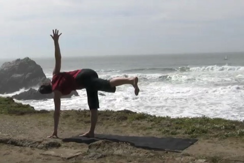 Yoga 201 screenshot 2