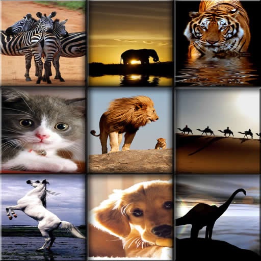 Animals Wallpapers icon