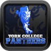 York College Athletics