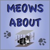 Meows About