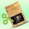 WebExtract for iPad