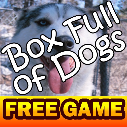 Box Full Of Dogs icon