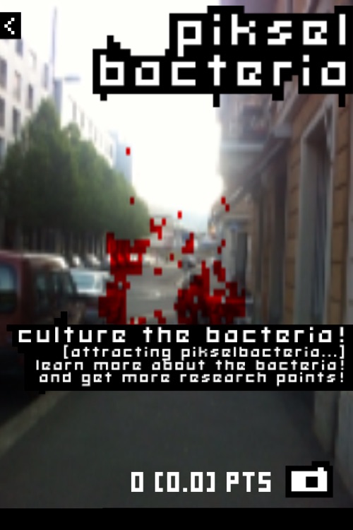 PikselBacteria