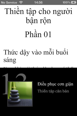 Thiền tập cho người bận rộn - Pháp môn Làng Mai - Thích Nhất Hạnh screenshot 4