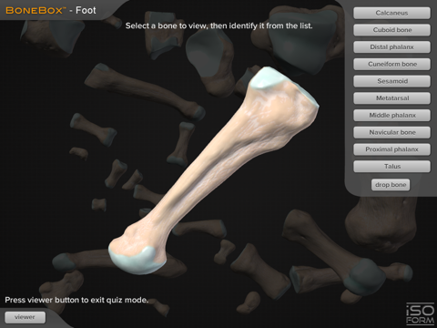 BoneBox Foot screenshot 2