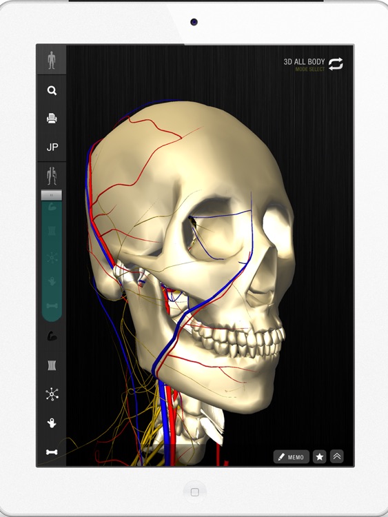 teamLabBody -3D Motion Human Anatomy Lite (Head and Neck)-