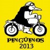 Pingüinos 2013