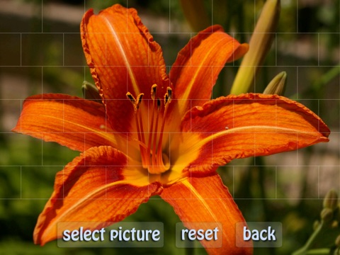 Puzzle Master HD Free screenshot 2