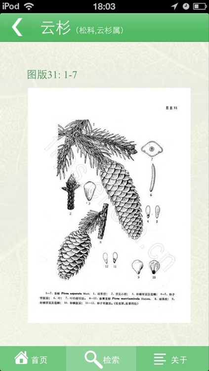 中国植物志专业版