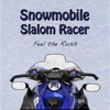Snowmobile Slalom Racer HD