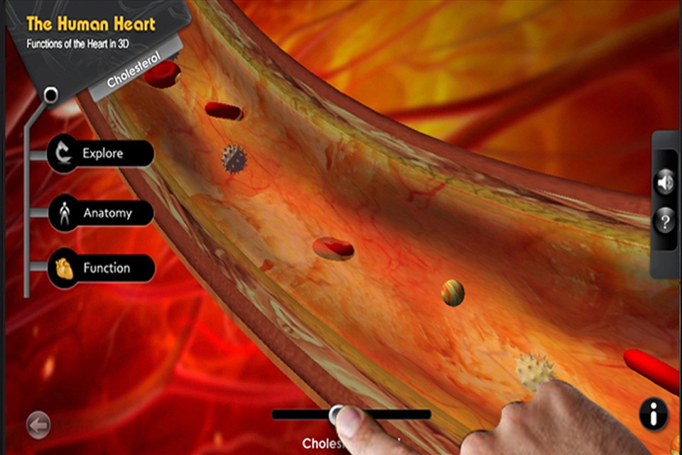 Explore the Heart in 3d screenshot 3