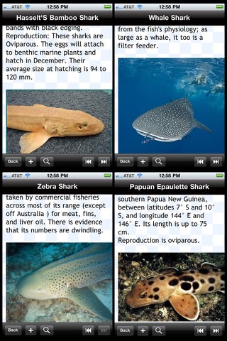 Shark Bible screenshot 2