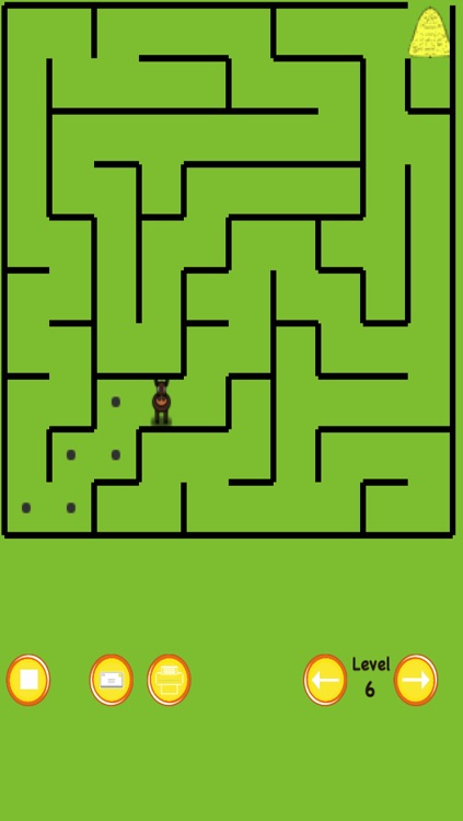 Horse Maze Race