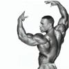 Bodybuilders Collection