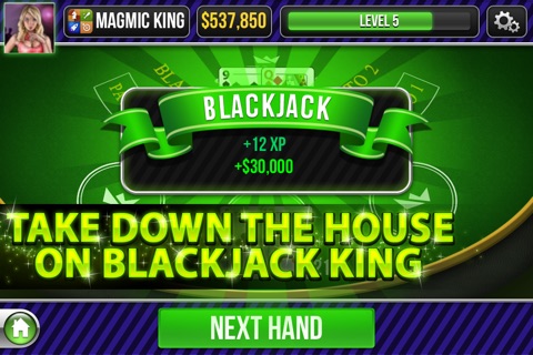 Blackjack King screenshot 4