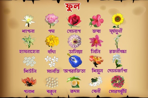 Bengali Flowers screenshot 2