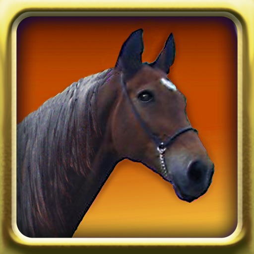 Horses Match Memory Game: Pair Up Horse Photos Icon