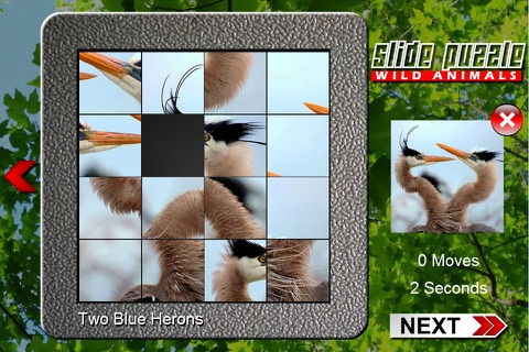 Slide Puzzle Animals screenshot 2