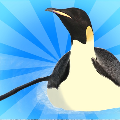 Penguin Glide Racing : The North Pole Cold Winter Race - Free Edition Icon