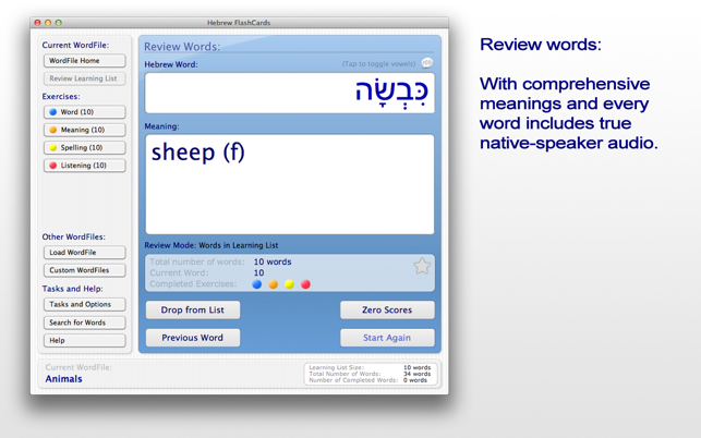 Hebrew FlashCards BASIC(圖2)-速報App