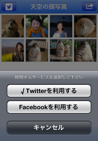 SocialProfile screenshot 2