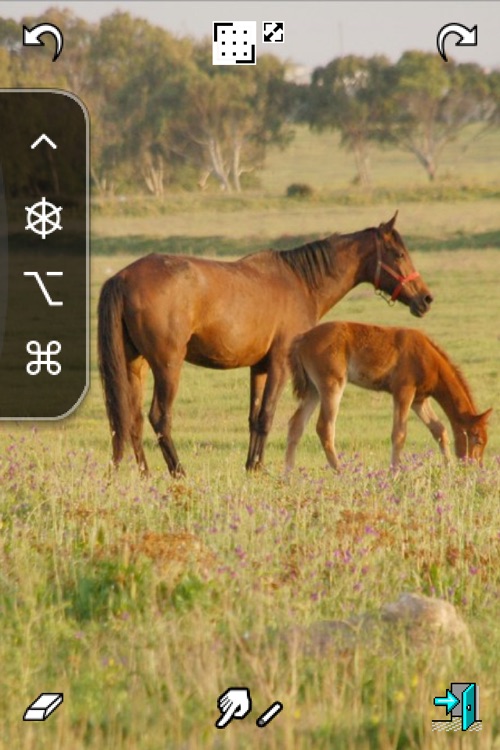 iGraphicPad