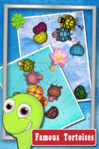 Mini Tortoises screenshot 2