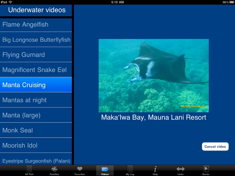 Reef Fish Hawaii HD screenshot-3