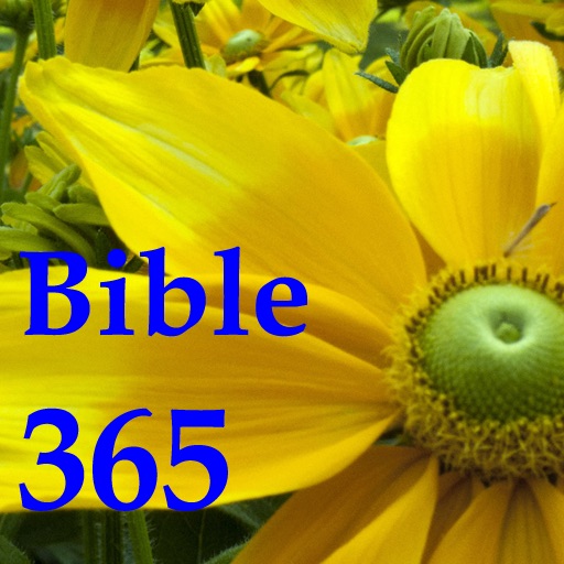 Bible Verse 365 icon