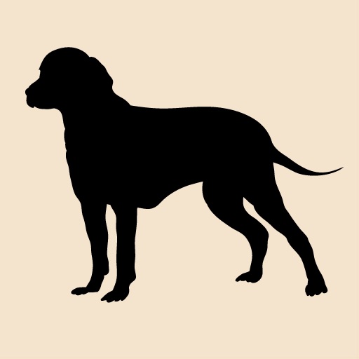 Labrador Memory Game - The game for Lab & Dog L... icon