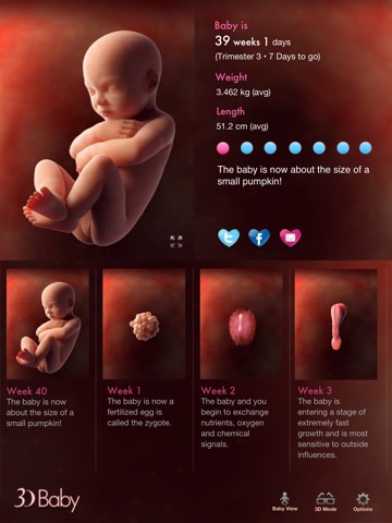 3D Baby Pregnancy Tracker & Calendar for iPad screenshot 2