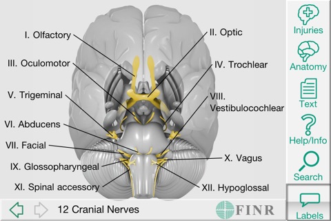 FINR Brain Atlas screenshot 3
