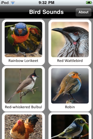 Funny Bird Sounds screenshot-3