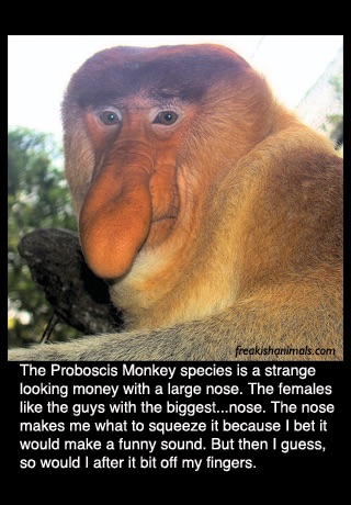 Freakish Animals that you never knew existed (Lite) screenshot 2