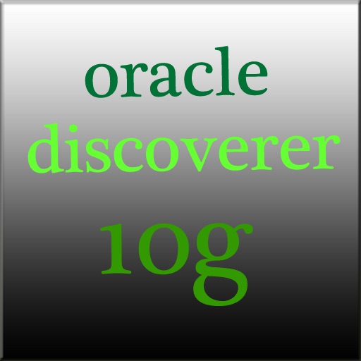 Oracle Discoverer 10g