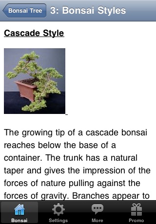Bonsai Tree - The Art of Growing Bonsai Trees screenshot 4
