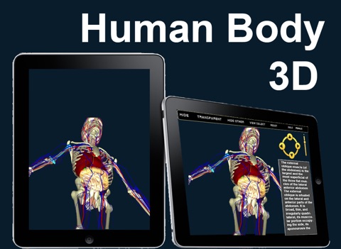 Human Body 3D for iPad screenshot 2