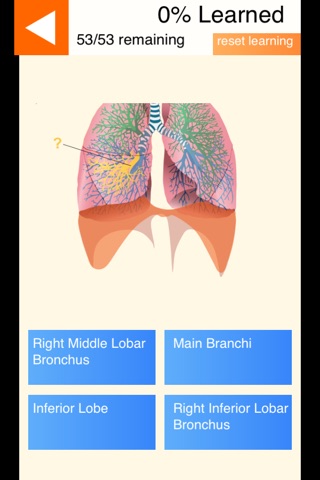 Anatomy Skills - Respiratory System screenshot 3