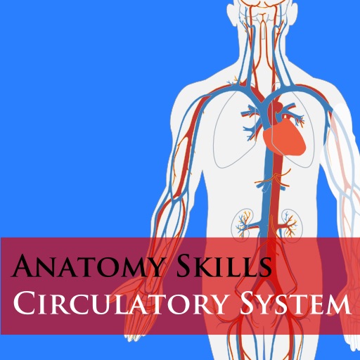 Anatomy Skills - Circulatory System Icon