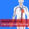 Anatomy Skills - Circulatory System