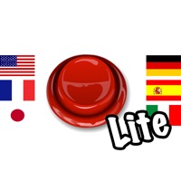 le test de lidiot lite