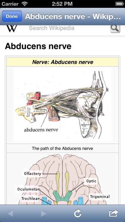 Cranial Nerves ~ Pocket Clinical Resource screenshot-3